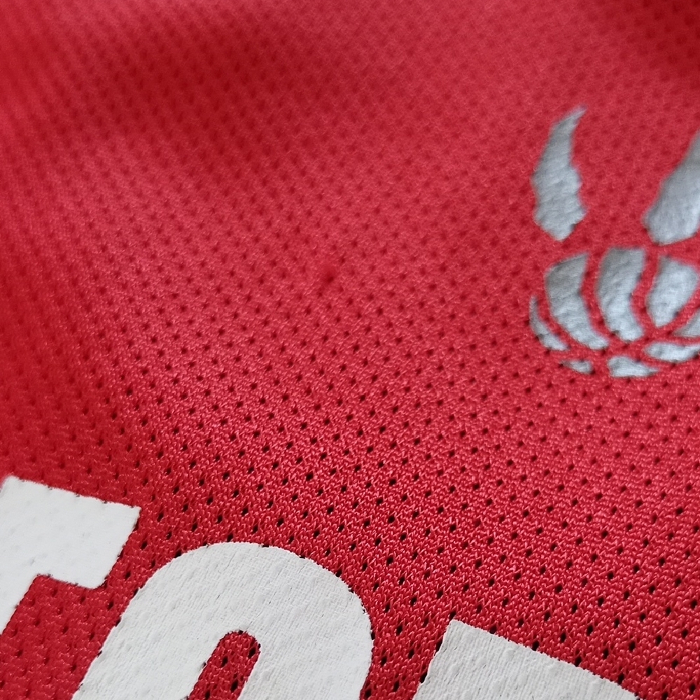 NBA TJ FORD #11 TORONTO RAPTORS BASKETBALL JERSEY - Picture 7 of 9